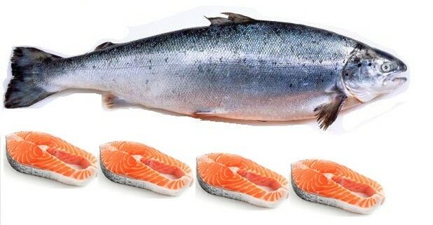 Whole Salmon.jpg
