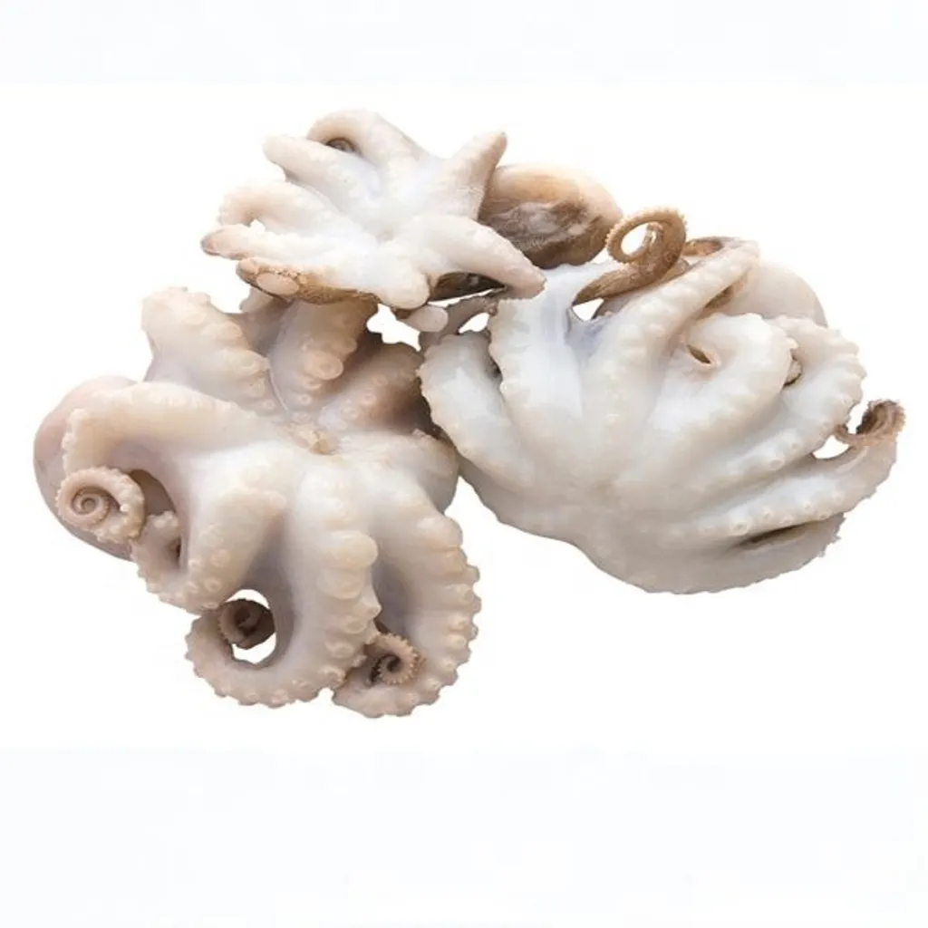 Baby octopus Pu Sang Ipoh.jpg