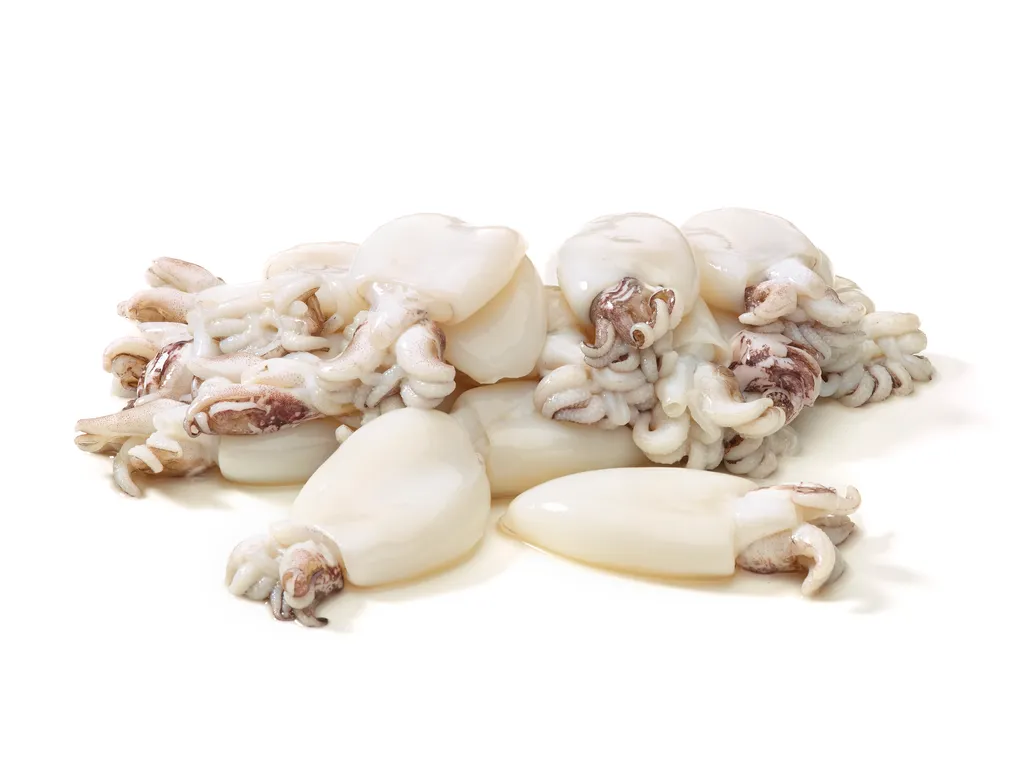 Baby cuttlefish Pu Sang Ipoh.jpg
