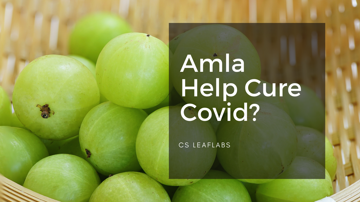 How Does Amla Help Cure Covid-19? Read This And Find Out.