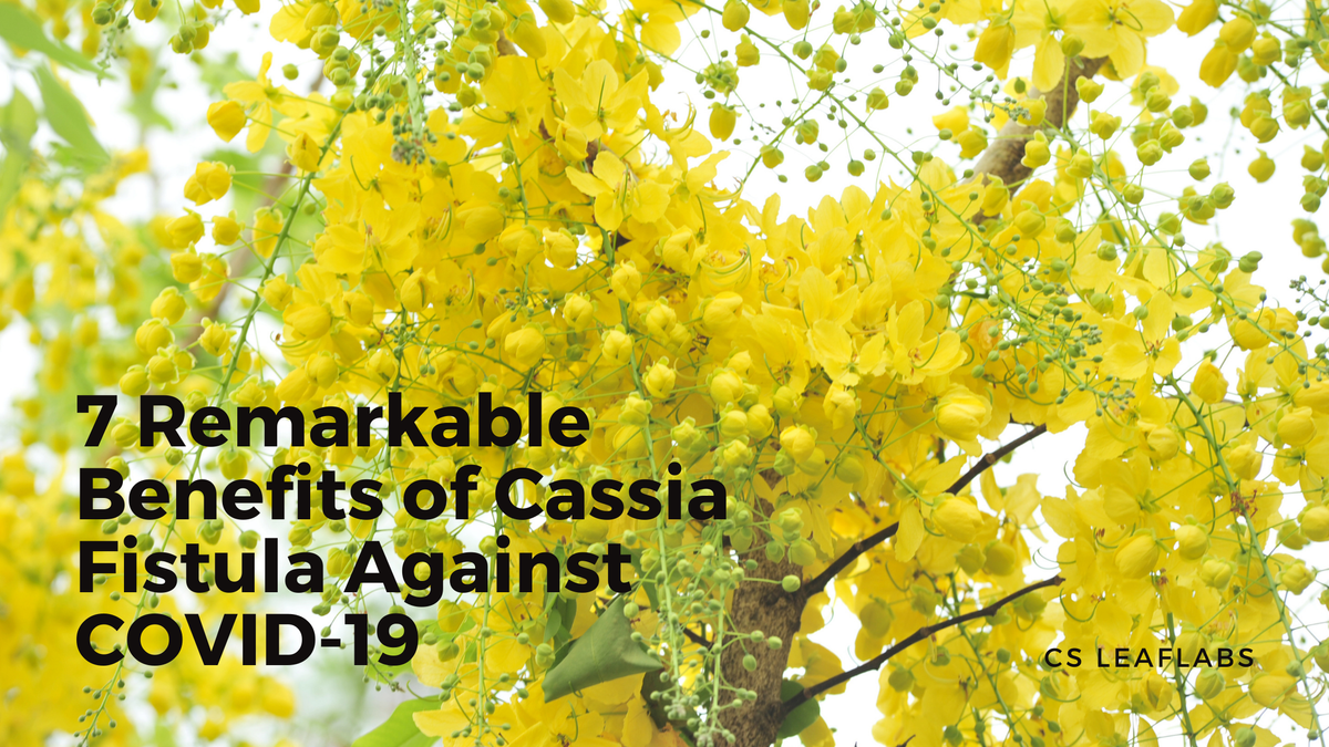 7 Remarkable Benefits of Cassia Fistula Against COVID-19