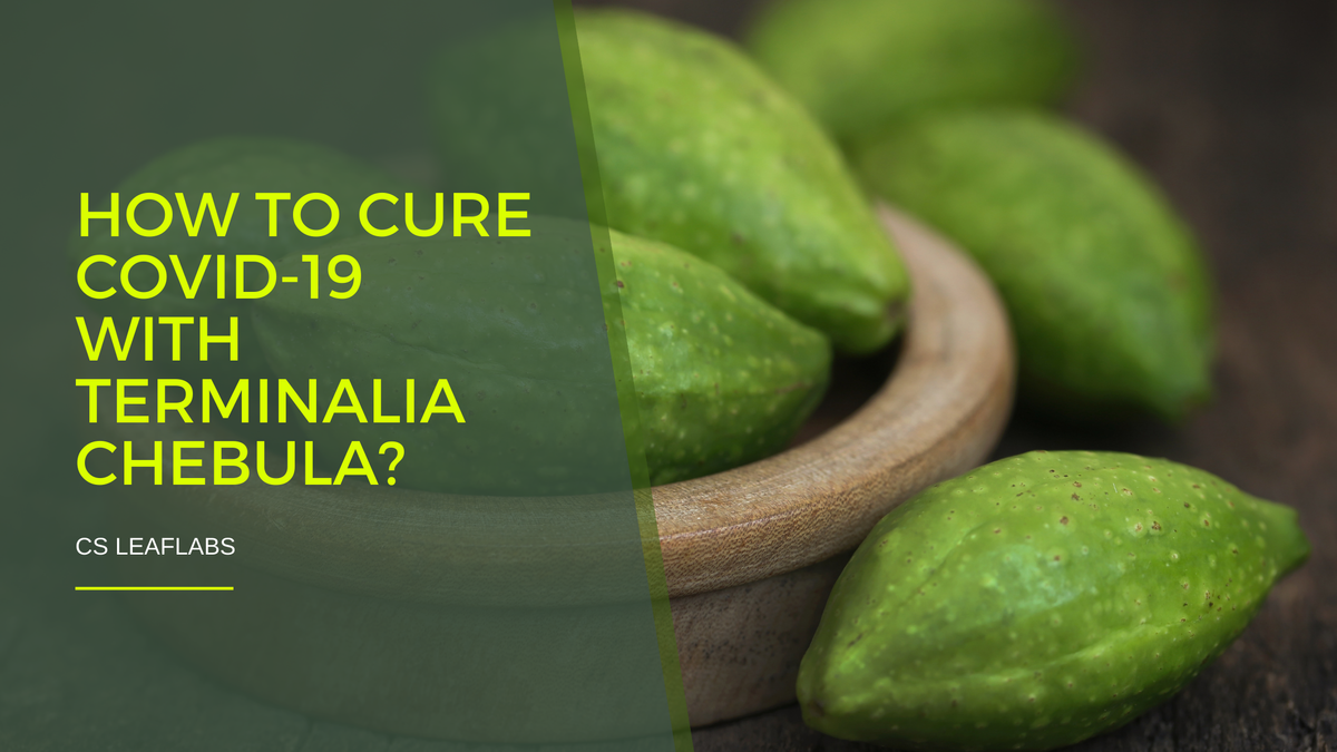 How To Cure Covid-19 With Terminalia Chebula?