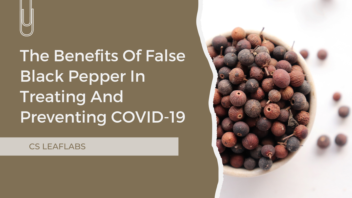The Benefits Of False Black Pepper In Treating And Preventing COVID-19