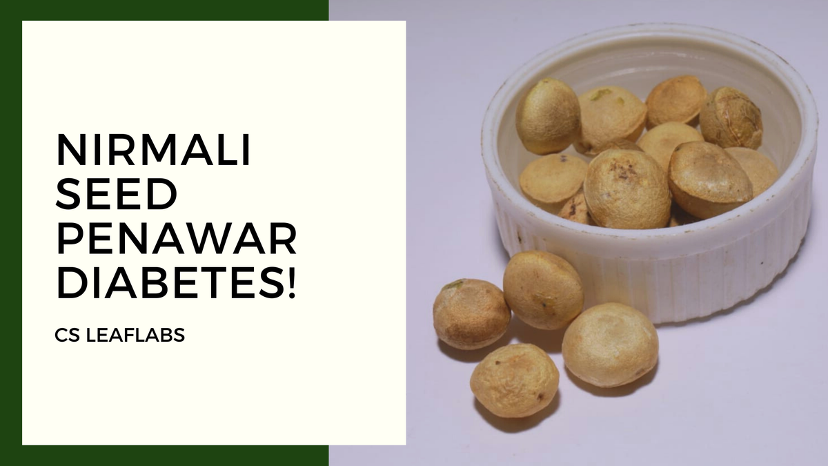 Nirmali Seed penawar Diabetes!