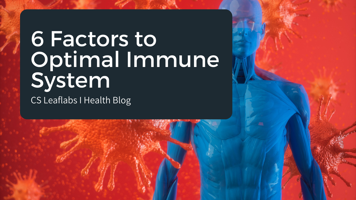 6 Factors to Optimal Immune System