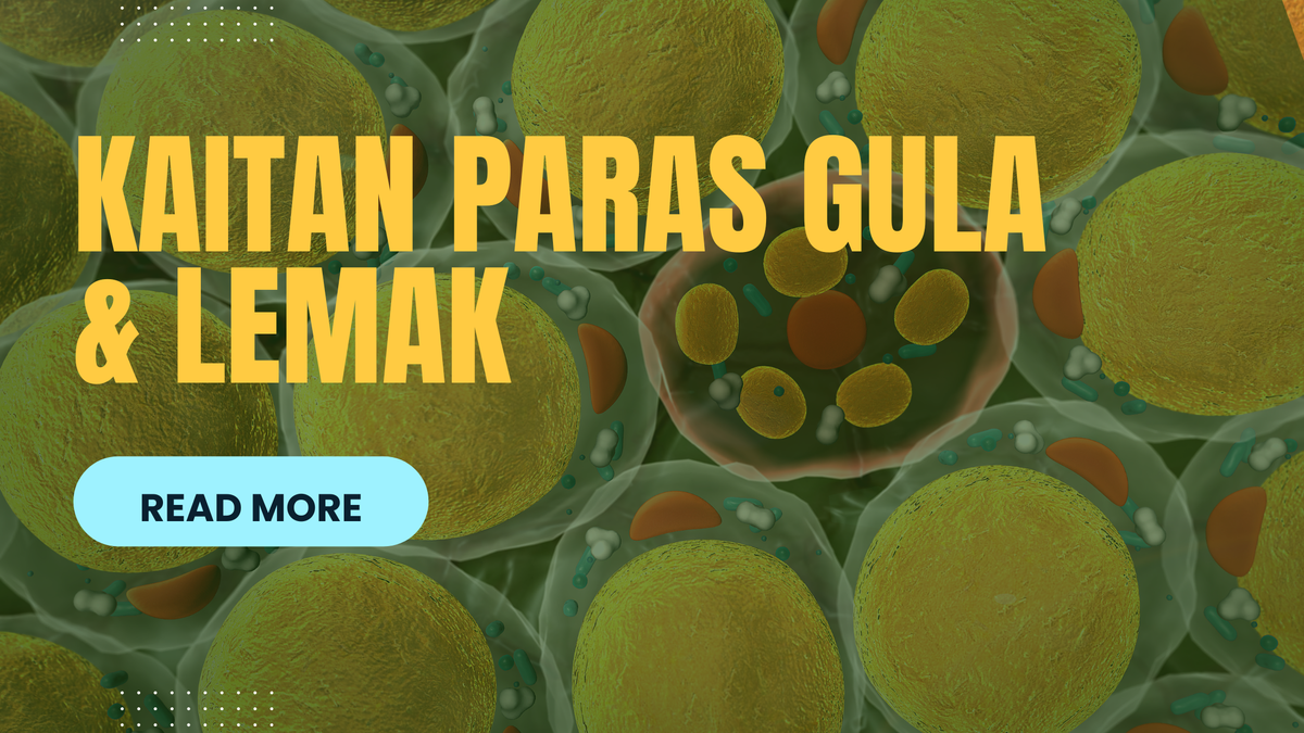 Apa Kaitan paras gula dan lemak badan??