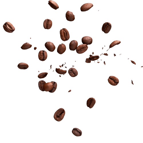 bean.png bean.png