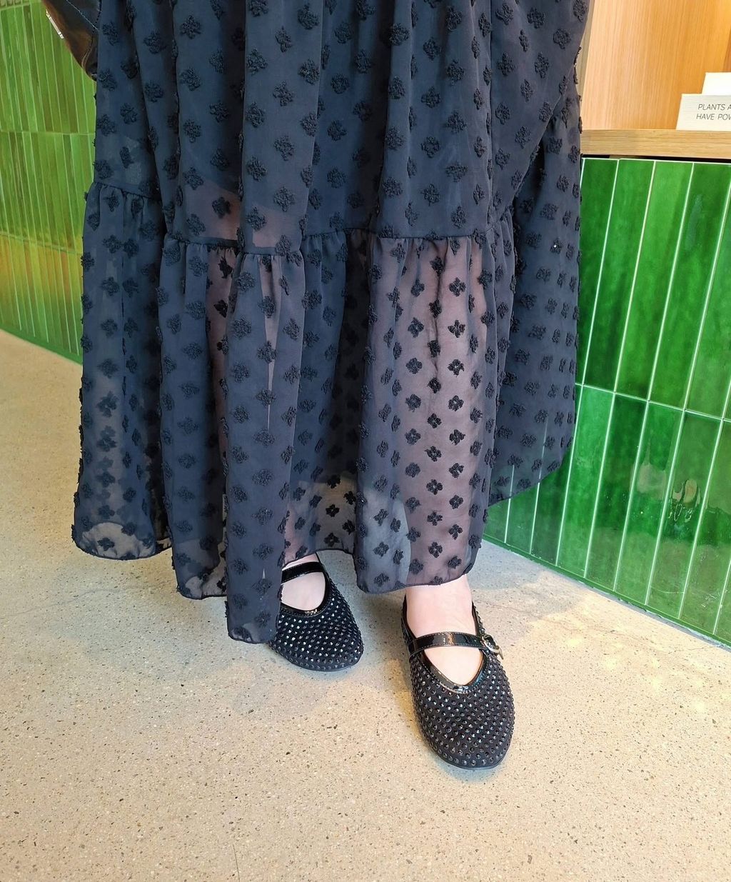 S__70049823