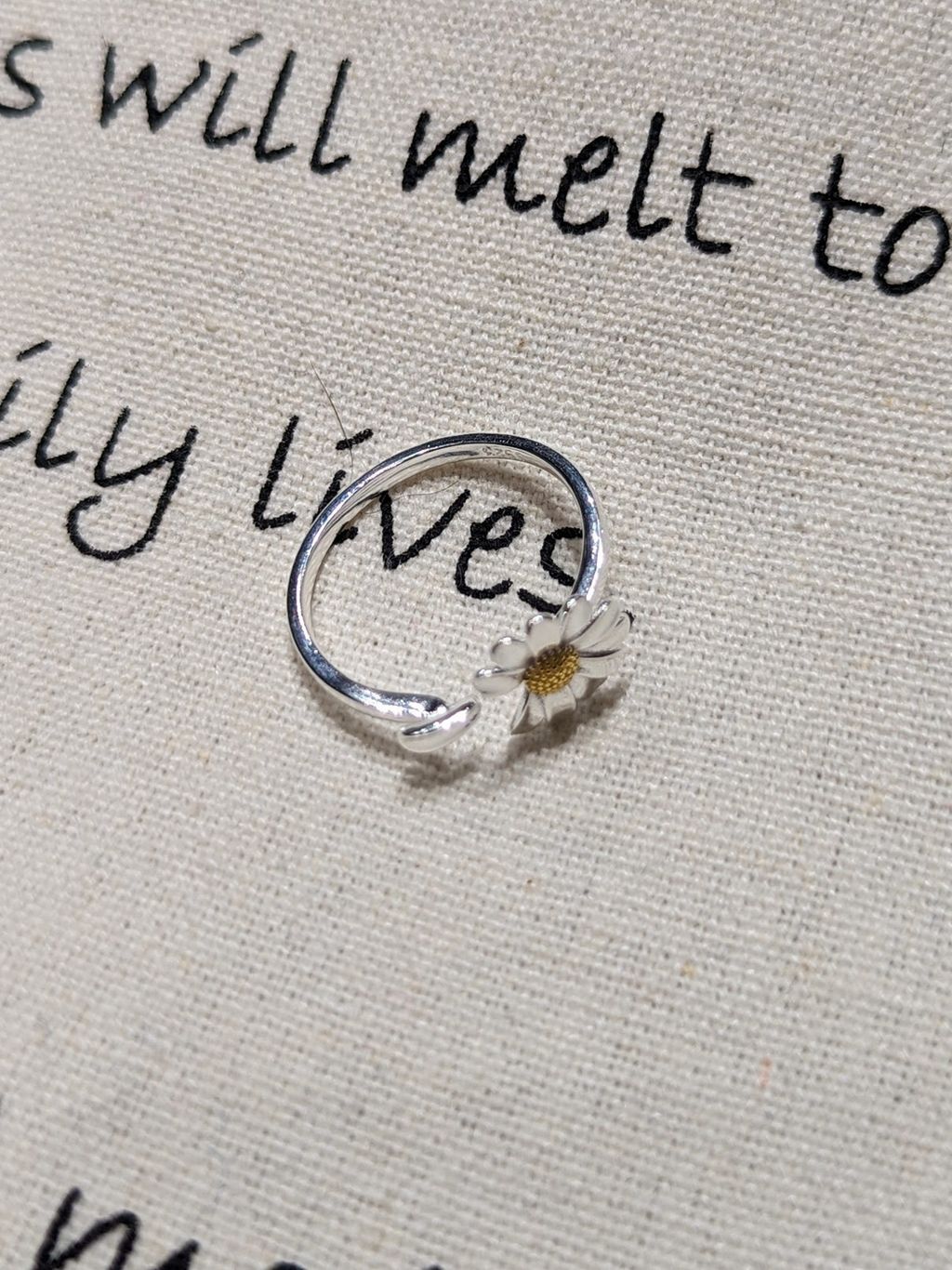 PXL_20251119_124221359~2