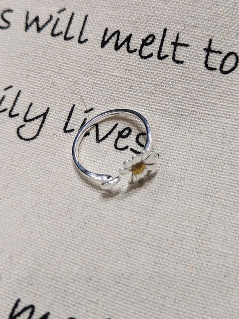 PXL_20251119_124221359~2