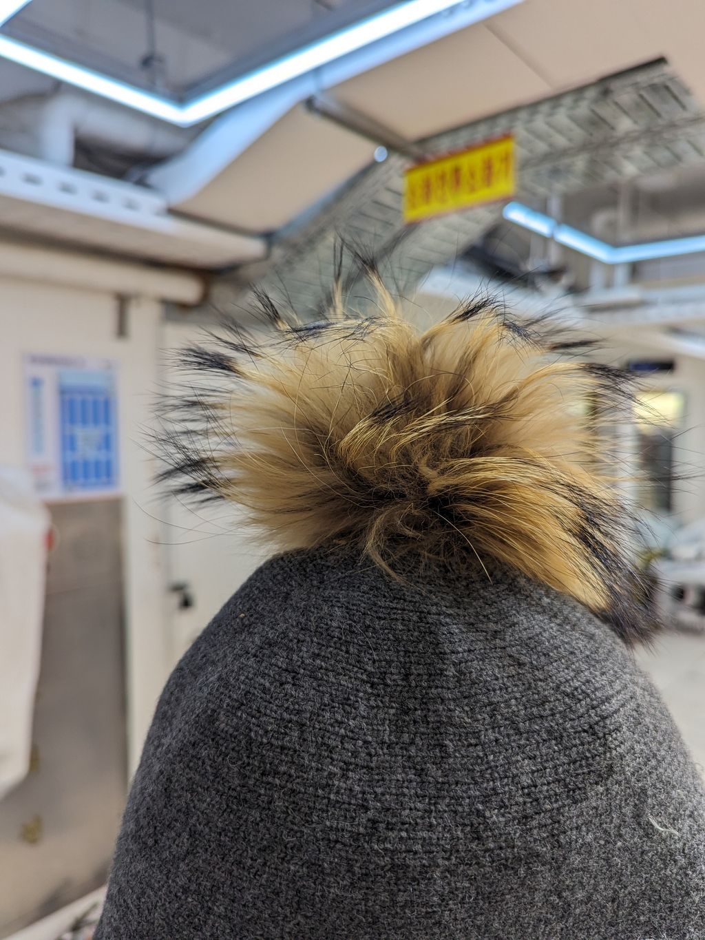 PXL_20251216_175723175