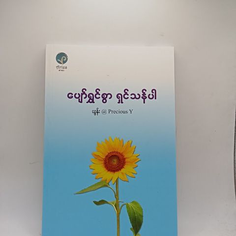 IMG20240711094539