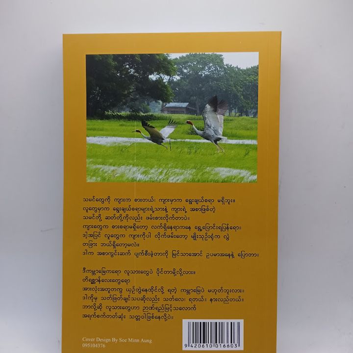 IMG20240711094448
