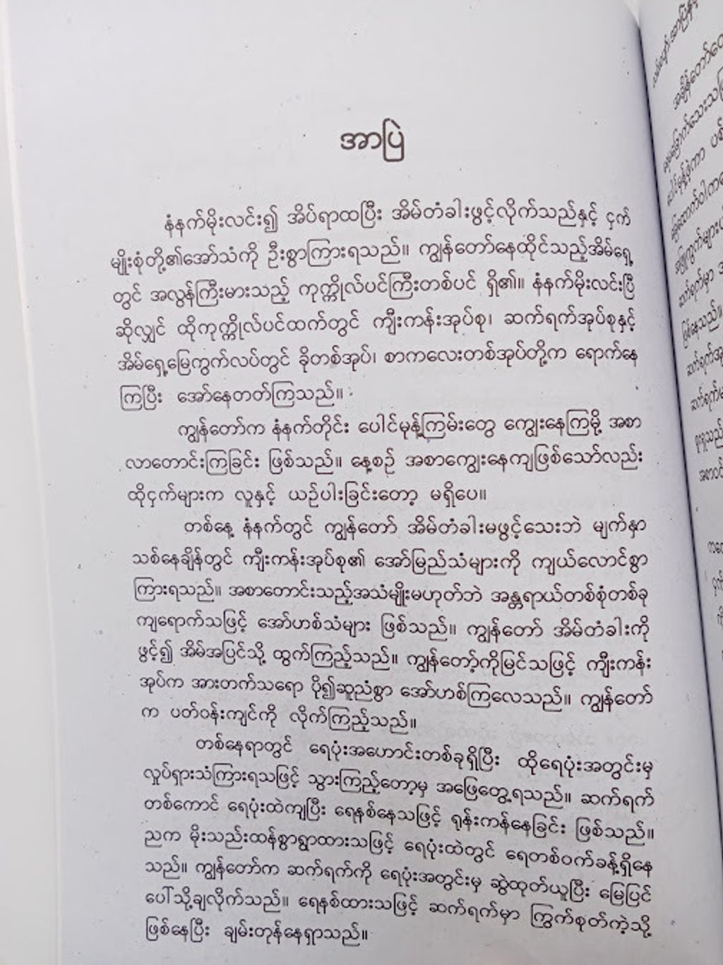IMG20241121092824