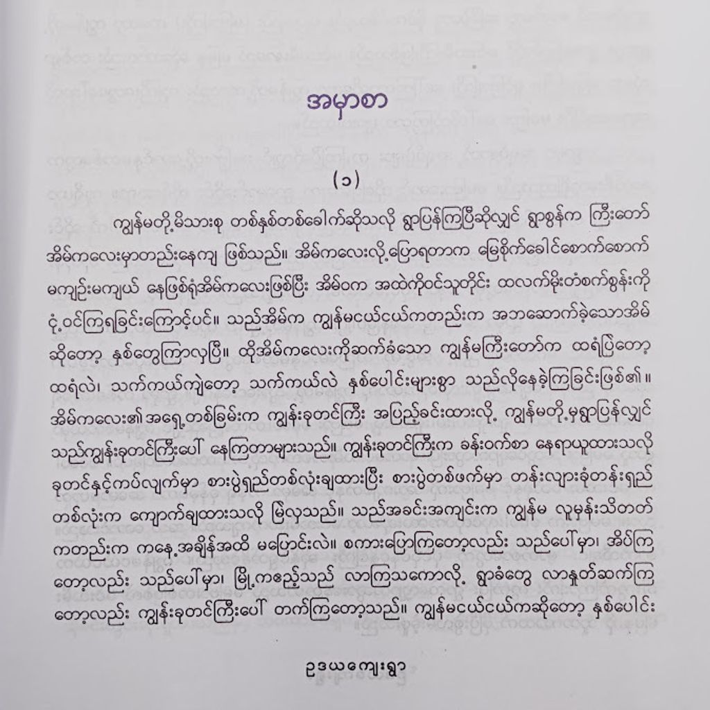 IMG20241128091914