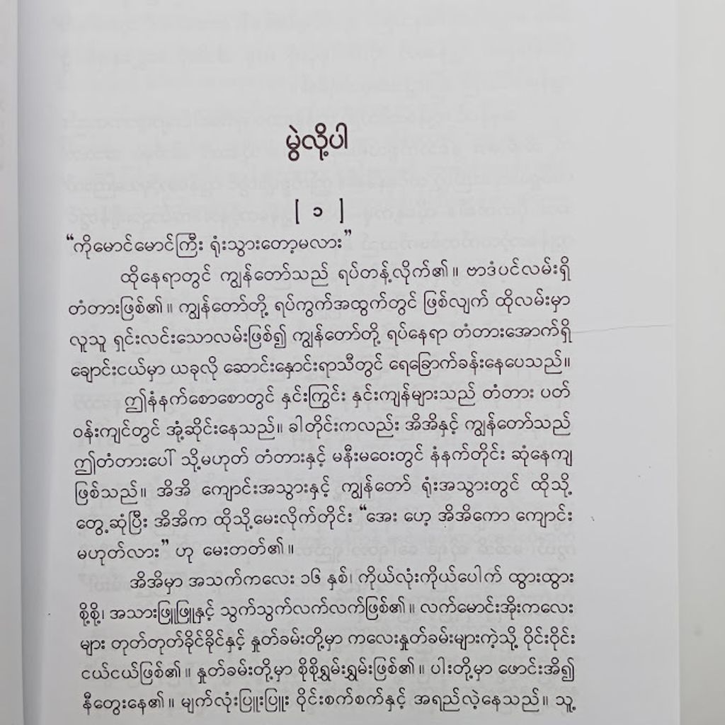 IMG20241221092437