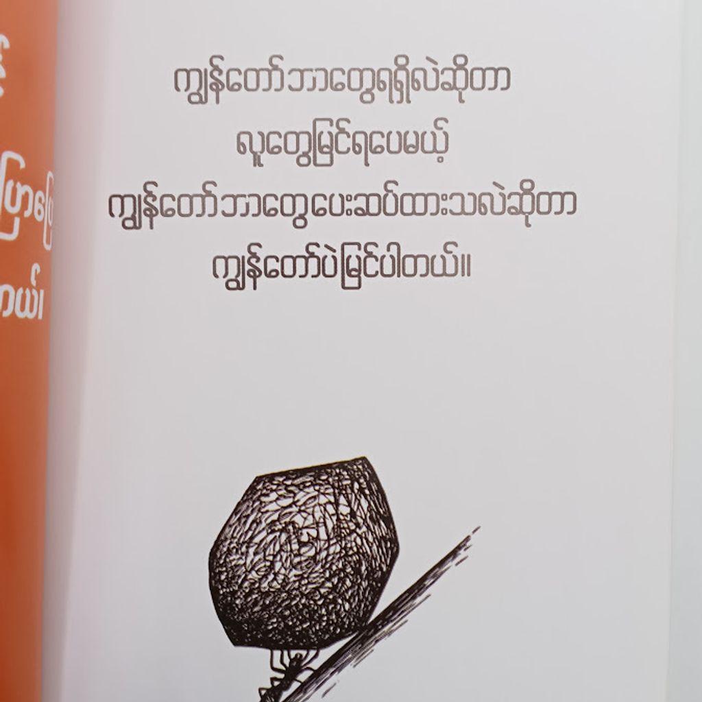 IMG20250130132005