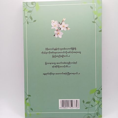IMG20250621162845
