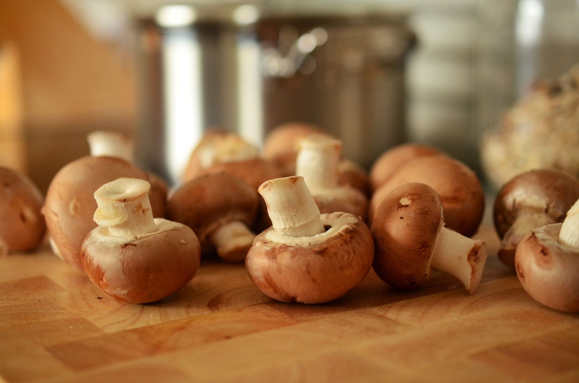 Mushroom Kenya | 