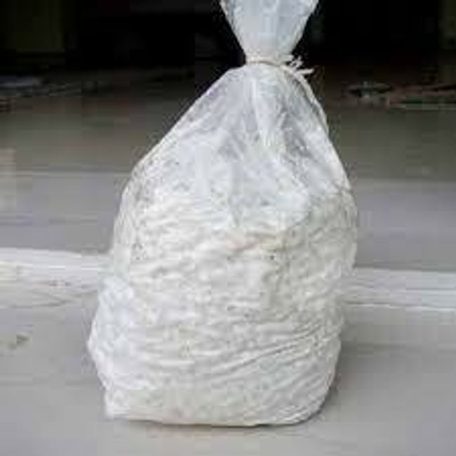 Mushroom Kenya |  - Oyster mushroom spawn