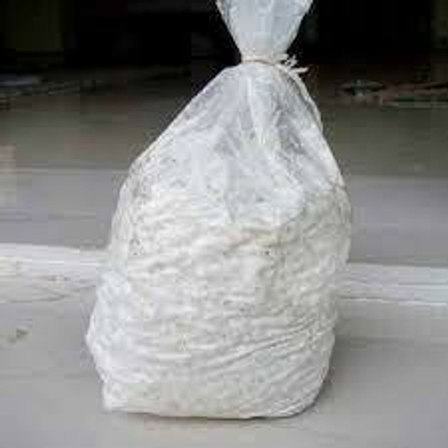 Mushroom Kenya |  - Oyster mushroom spawn