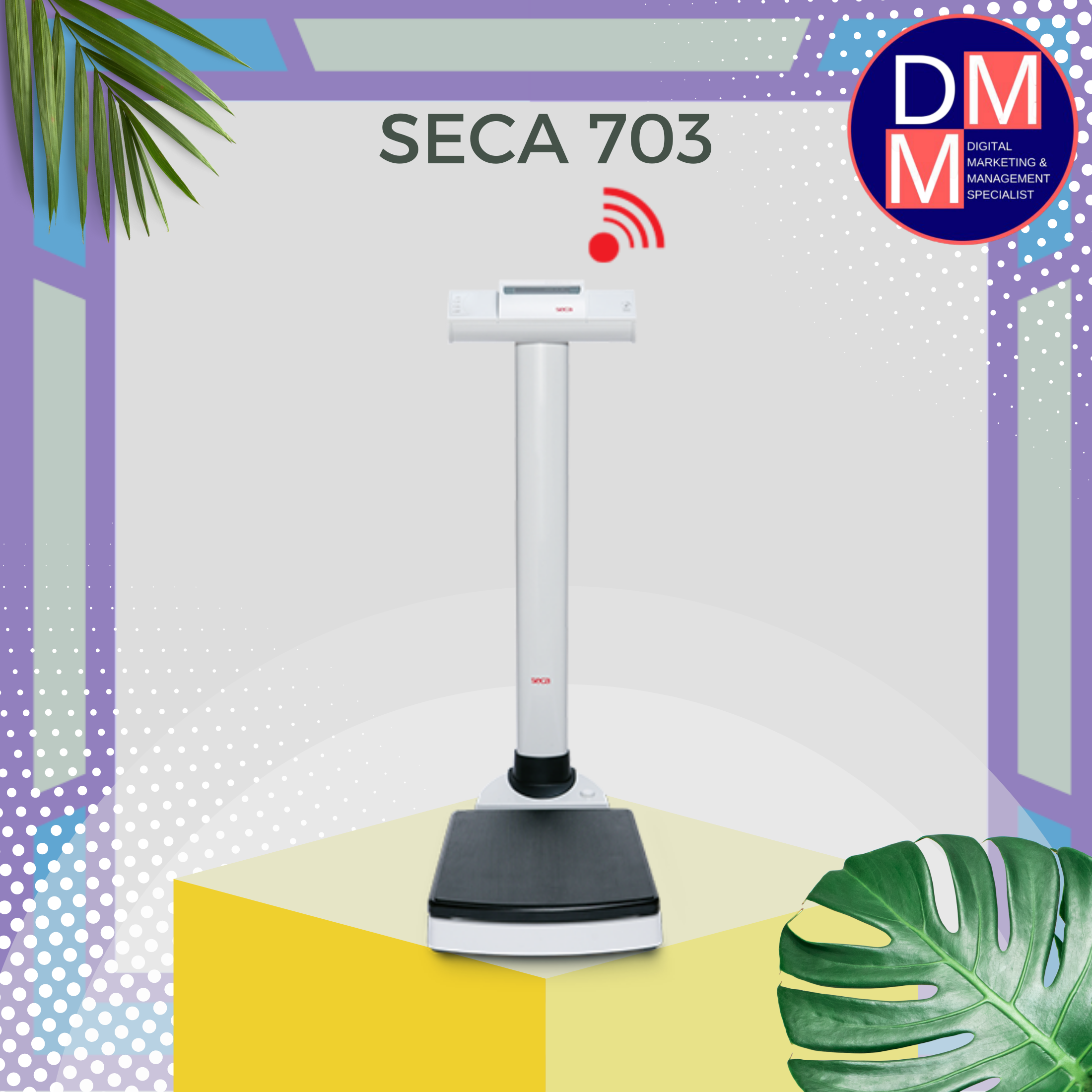 SECA 703 s - Wireless column scale with integrated measuring rod