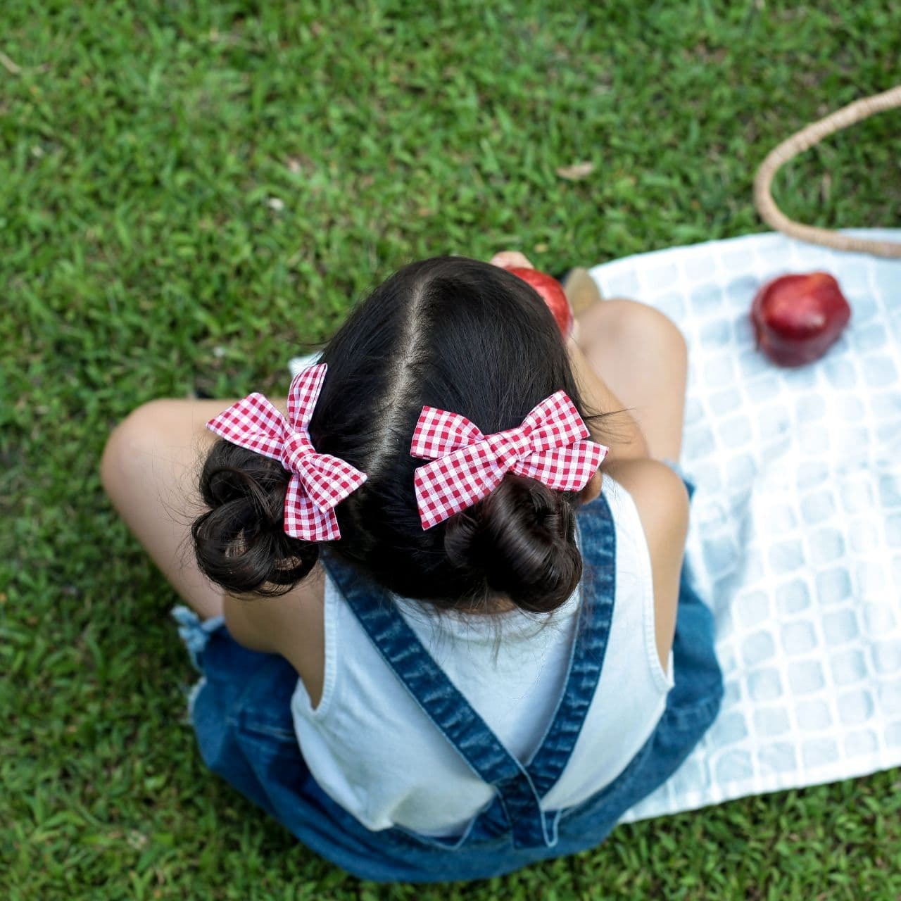 GINGHAM_red