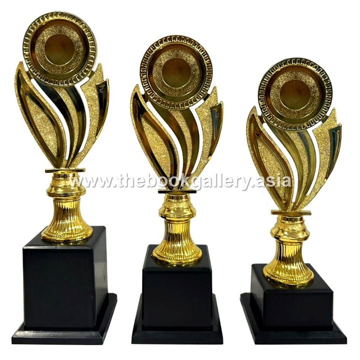Series B2 - BGSM012