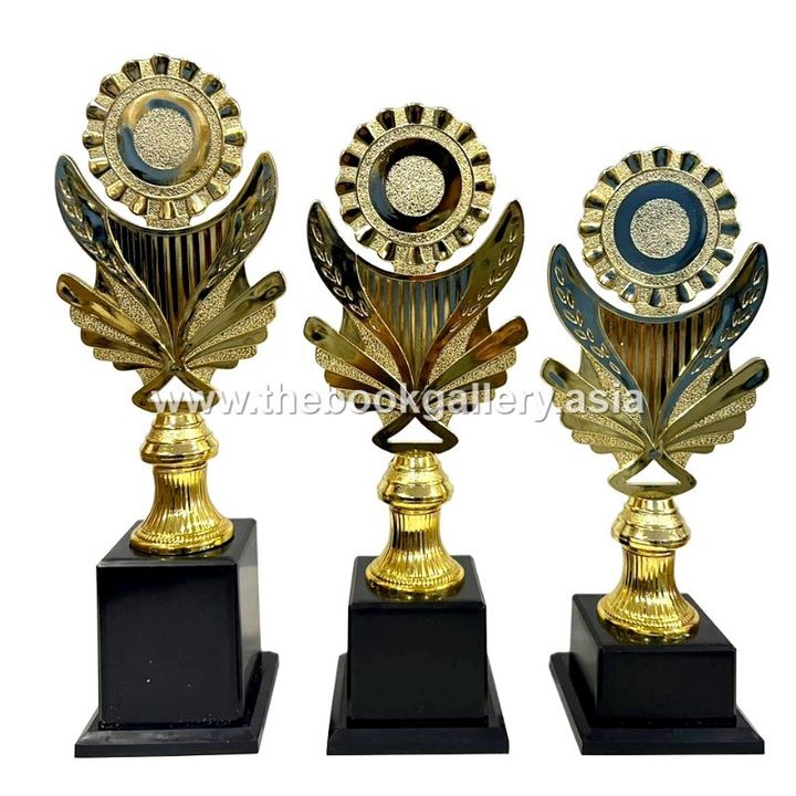 Series B2 - BGSM017