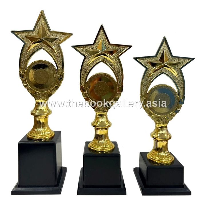 Series B2 - BGSM019