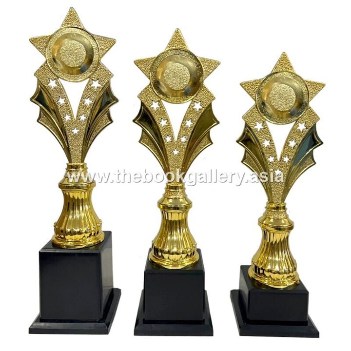 Series B1 - BGSM020