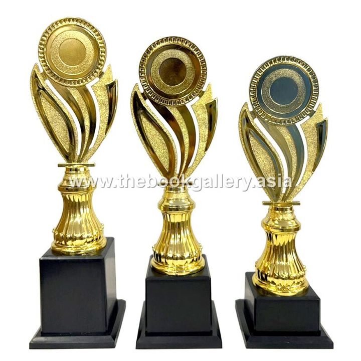 Series B1 - BGSM012