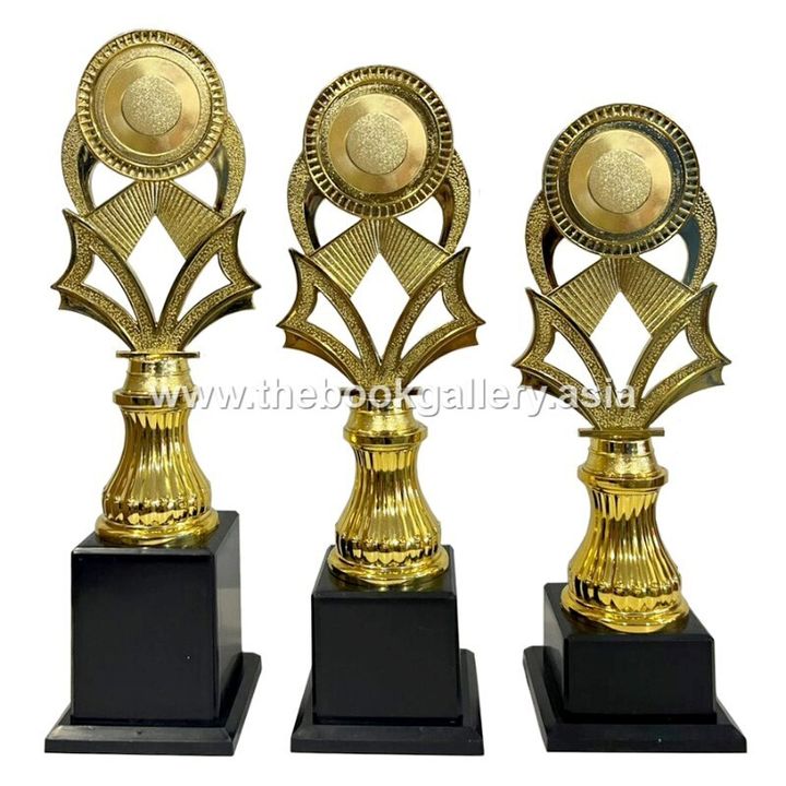 Series B1 - BGSM011