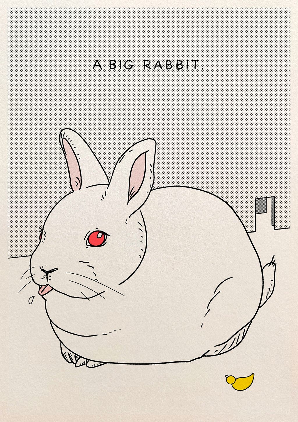 Jan_2025_A_Big_Rabbit