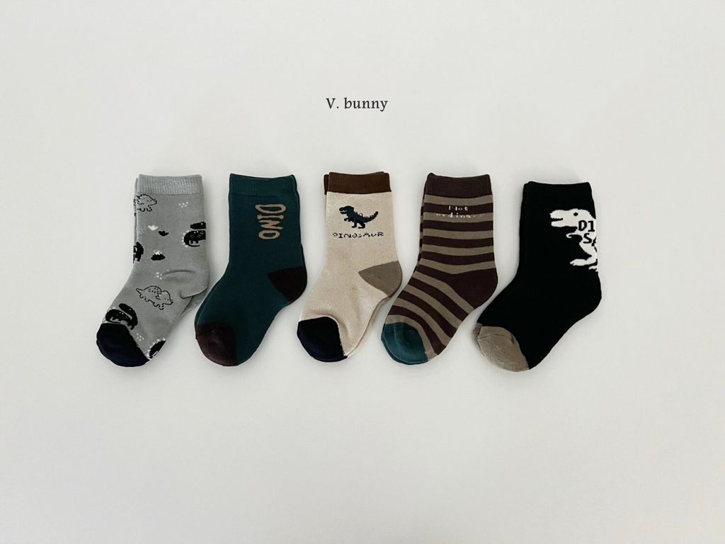 LINE_ALBUM_V-bunny_250124_39