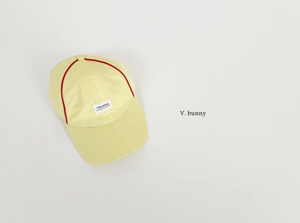 LINE_ALBUM_20250703vbunny_250704_16