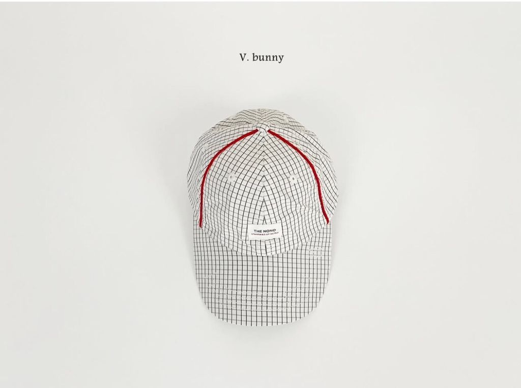 LINE_ALBUM_20250703vbunny_250704_17