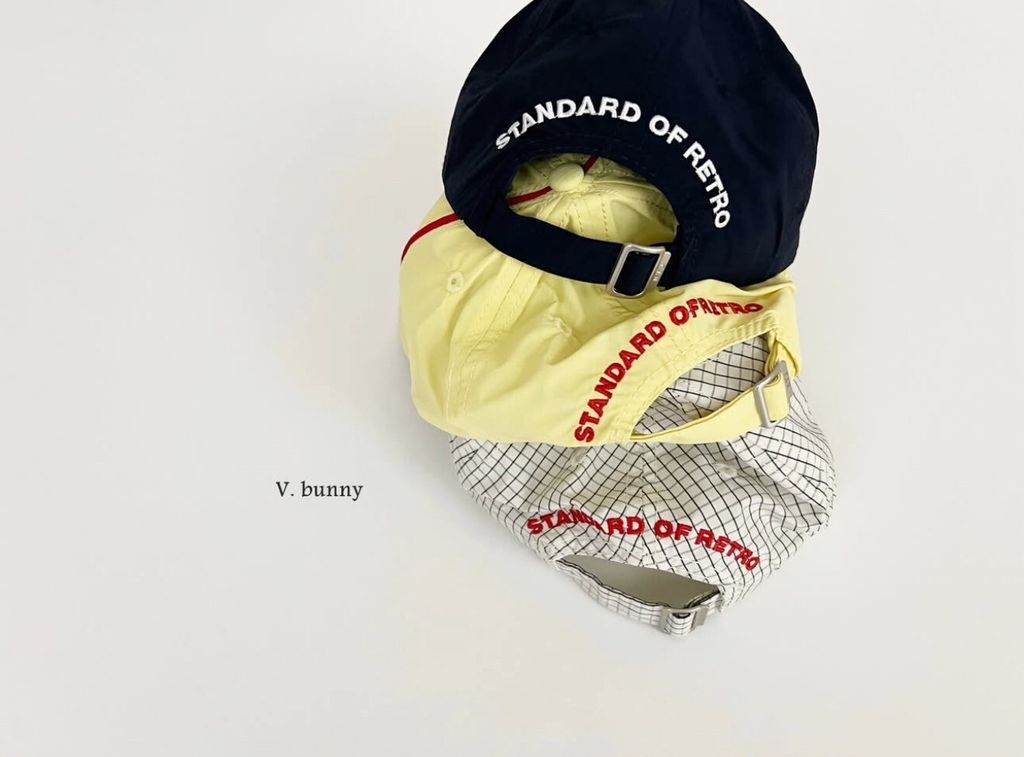 LINE_ALBUM_20250703vbunny_250704_15