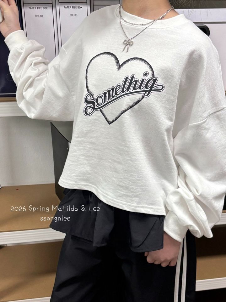 S__66486282_0