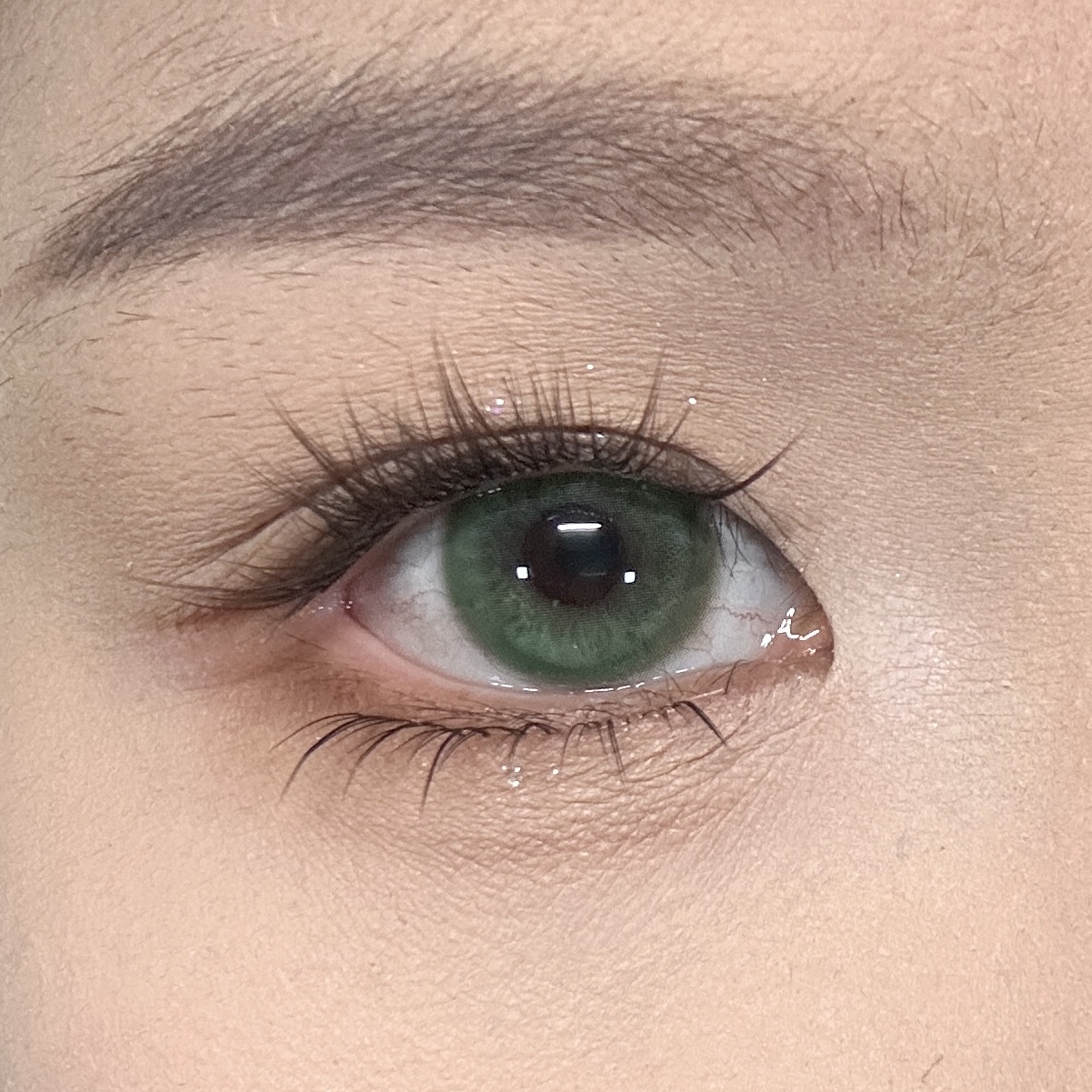 image_3630B784-133A-47CB-AEB1-14B169195569_1773165433