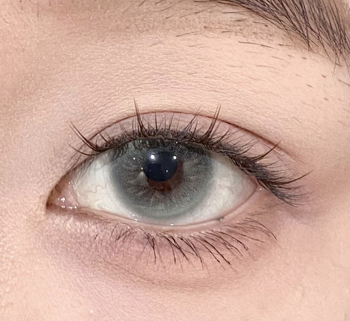 image_F640B8BD-336F-4D92-8873-F73E7772B5F6_1773165625