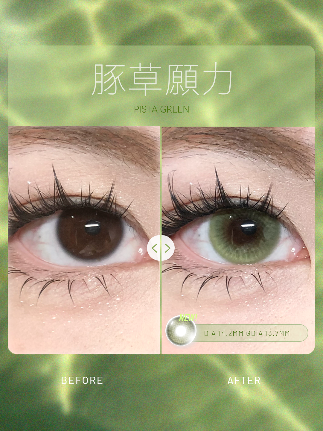 image_D35E05DE-7BB7-4DC6-9186-700EA8F64D72_1773166172