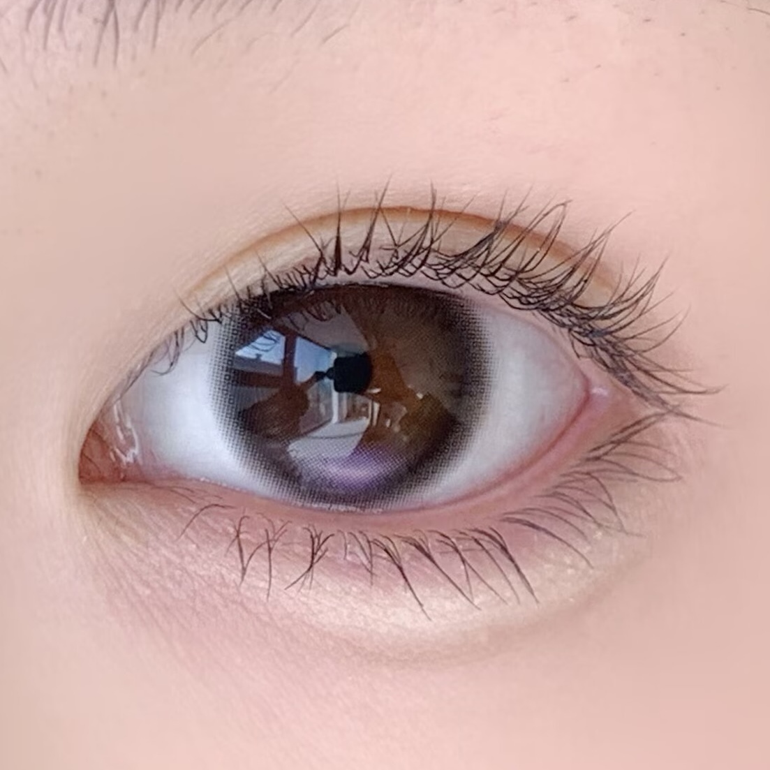 image_979CEBE1-34CA-42DC-9F60-06CE86D72216_1776370860