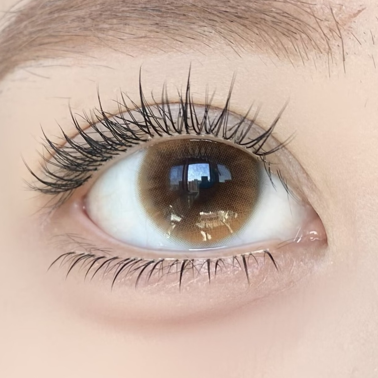 image_D3130C51-DC3B-4161-B3BF-53E2EED81B8F_1776371238