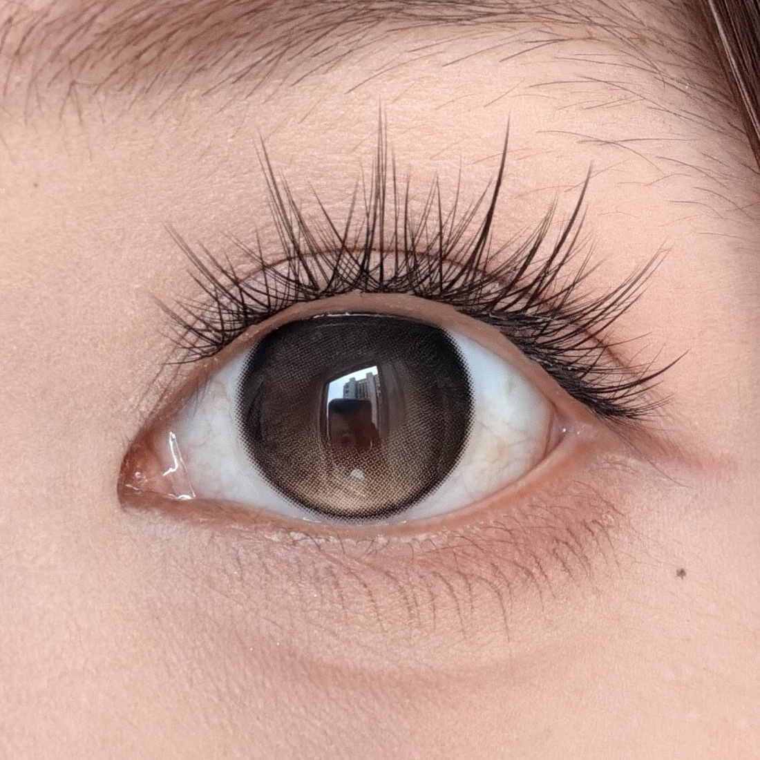 image_67B50F1B-564D-4724-A2EE-5CF3E45F62E9_1776372201