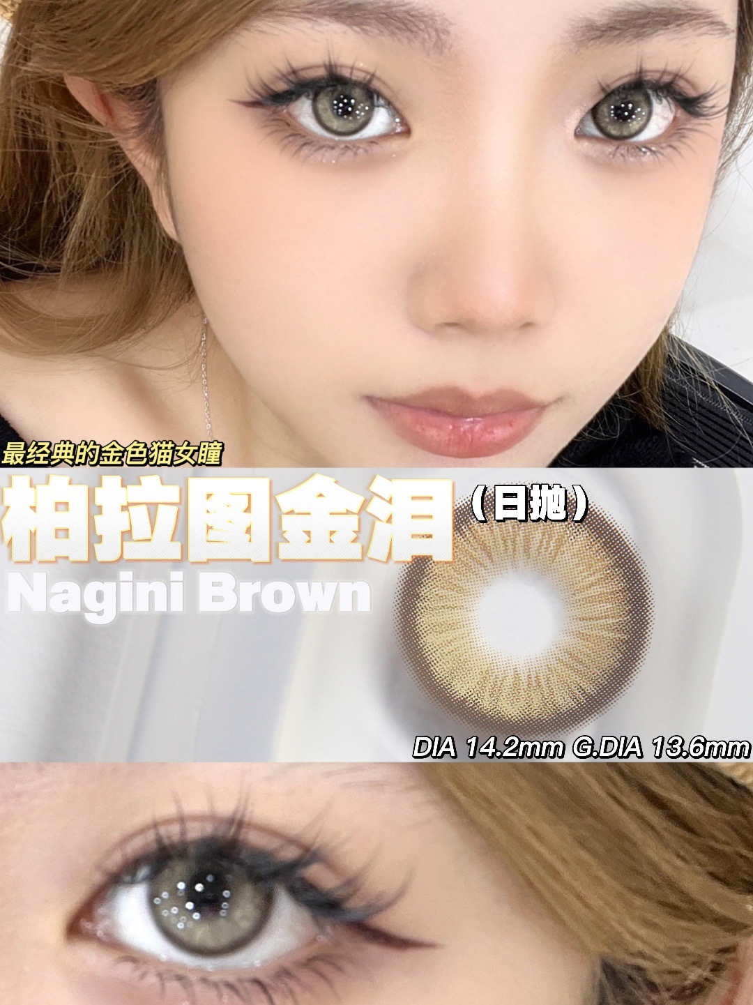 IMG_8180-1730394246977