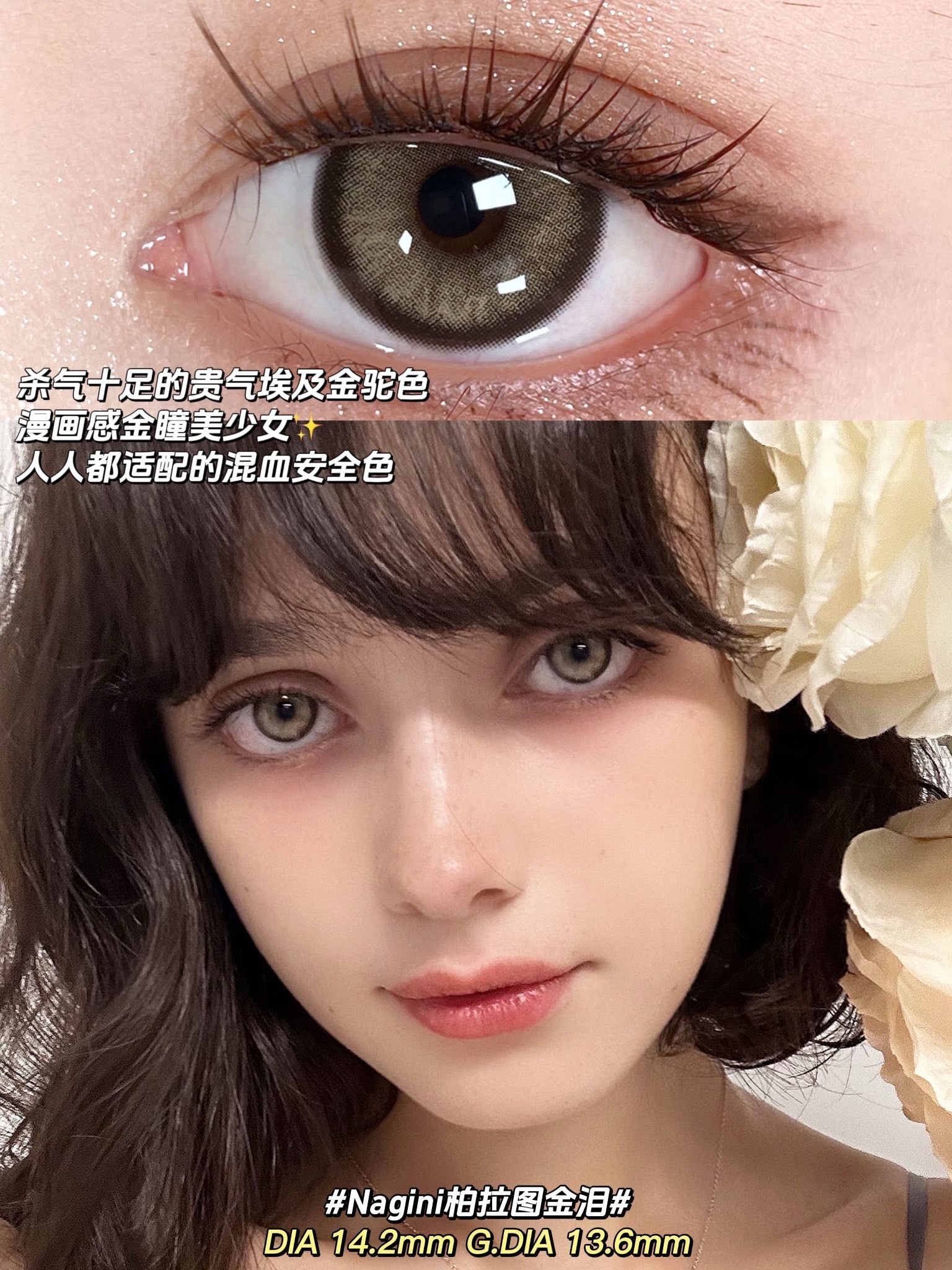 IMG_8176-1730394247012