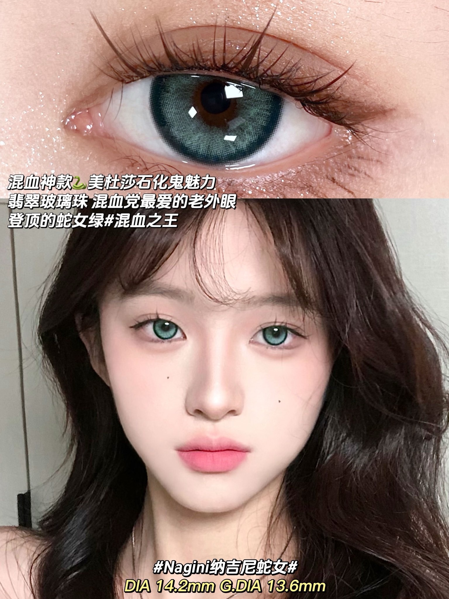 IMG_8174-1730394247030