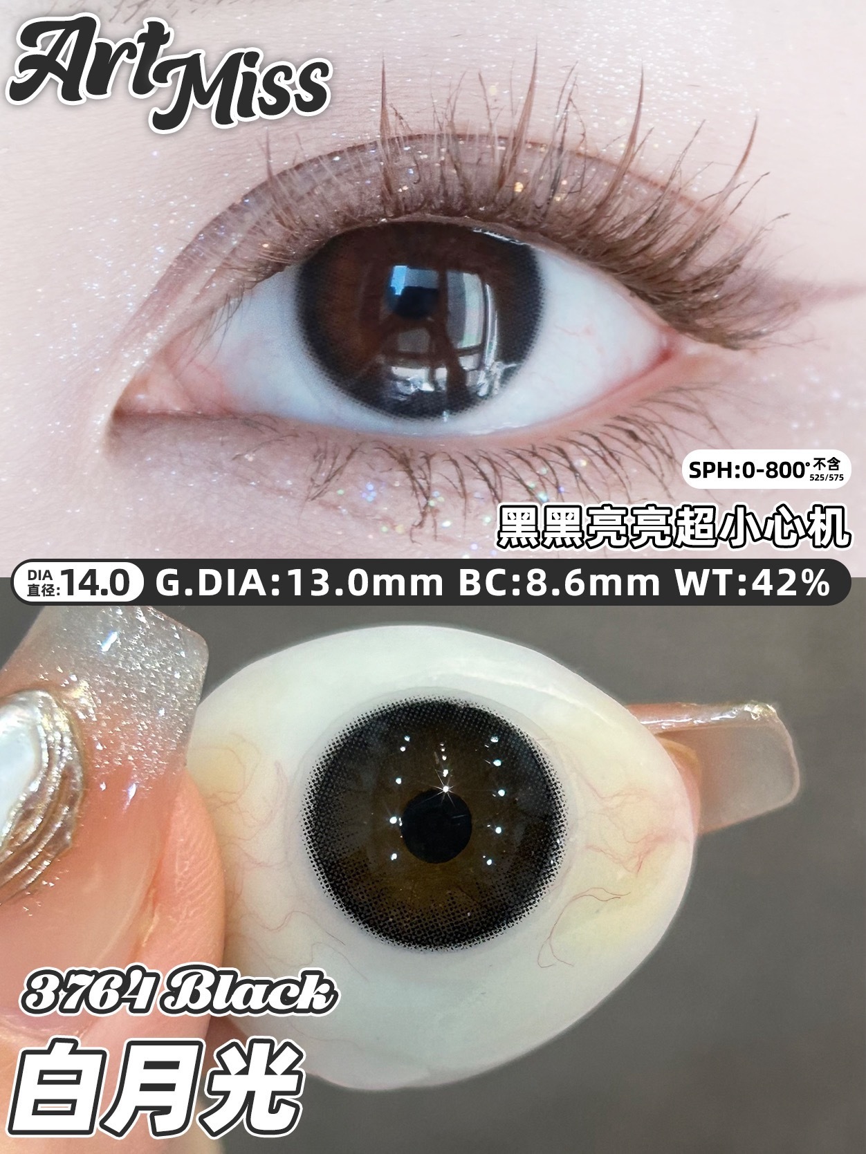 IMG_0356-1732087496933