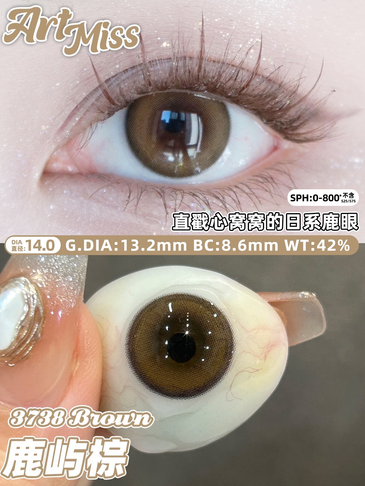 IMG_0361-1732087496949